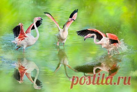 Be different... / 500px