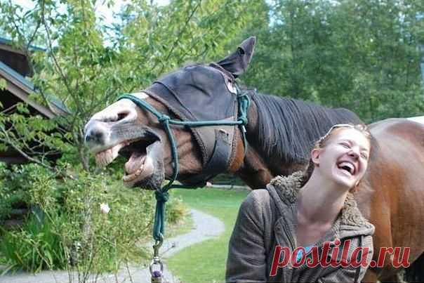 УЛЫБКА...