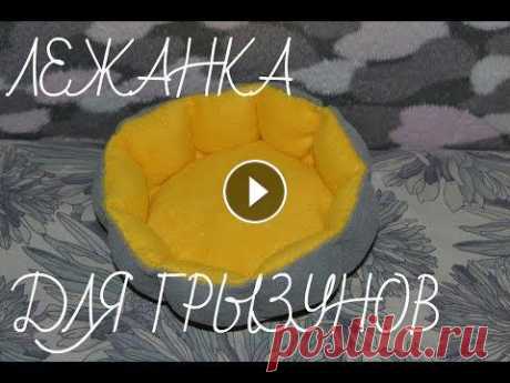 Лежанка для грызунов своими руками //Дегу ВКонтакте- //Моя группа-...