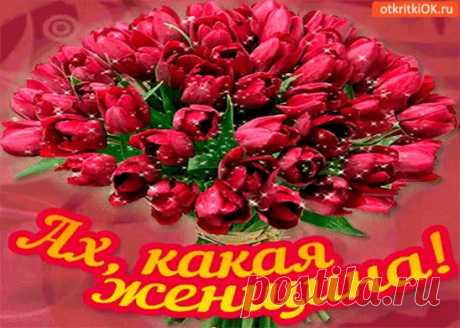(5) Одноклассники