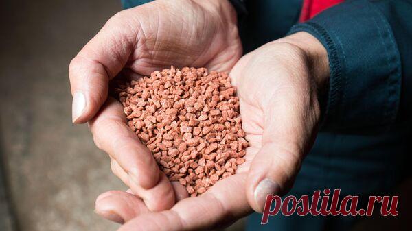 Сьерра-Леоне начала переговоры с Россией по импорту удобрений