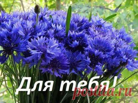 Для Тебя!

Жми Класс чтоб и ваши друзья увидели эти красивые цветы!
