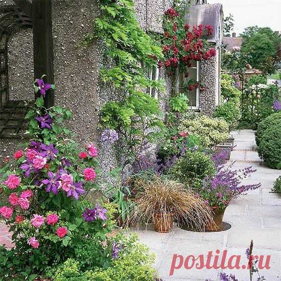 Photos from Sociedad Argentina de Horticultura's... - Sociedad Argentina de Horticultura