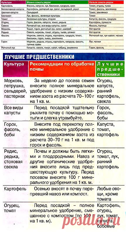 Дружные соседи