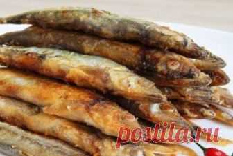 Грошовая рыба оказалась на вес золота: полезнее красной! Все мы наслышаны о том, как полезна семга, форель, лосось. Но заметим, что только дикорастущая, а не та, что выращивается в специальных бассейнах и питается комбикормом. Эксперты утверждают, что у дан…