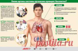 Вылечат за госсчёт. Как бесплатно пройти обследования? | Инфографика | Аргументы и Факты