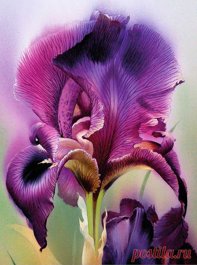 ПРИРОДА шелкового мира | Алина Осеева | ActualArtist.ru