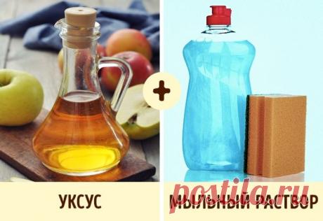 9 трюков, чтобы навести идеальный порядок и сэкономить кучу времени | Болтай