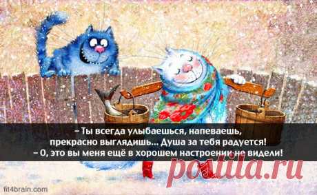 Весёлые картинки – Фитнес для мозга