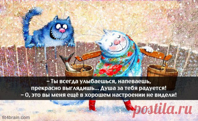 Весёлые картинки – Фитнес для мозга