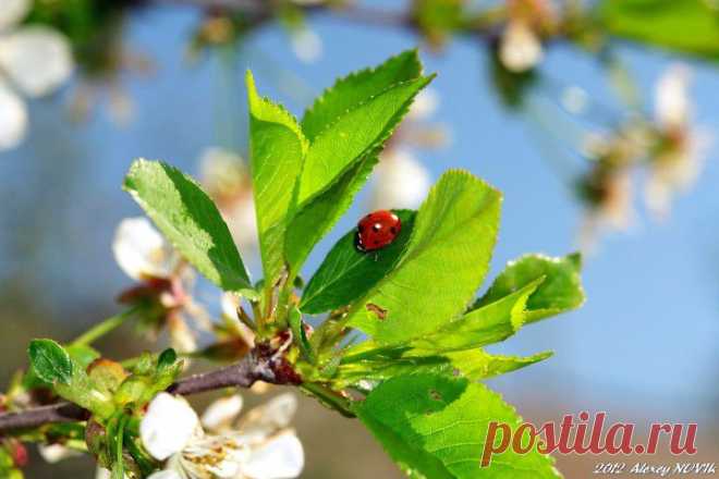 Фотопрогулки. Глоток весны | ЛЮБИМЫЕ