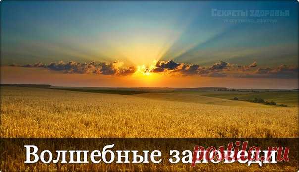 ВОЛШЕБНЫЕ ЗАПОВЕДИ