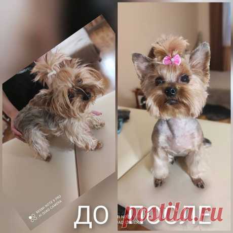 Наталия: Буся, милая девочка)))