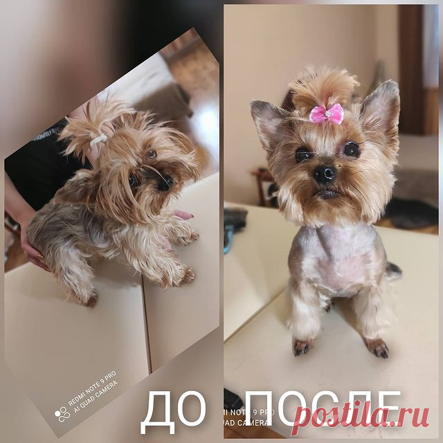 Наталия: Буся, милая девочка)))