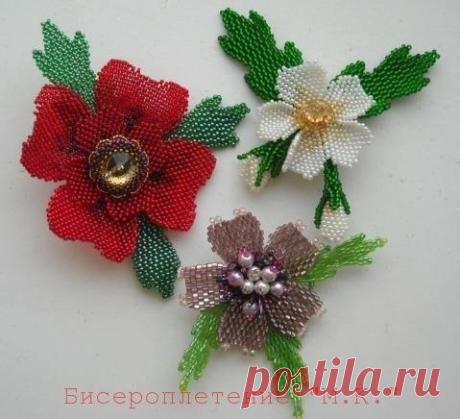 Стена | ВКонтакте