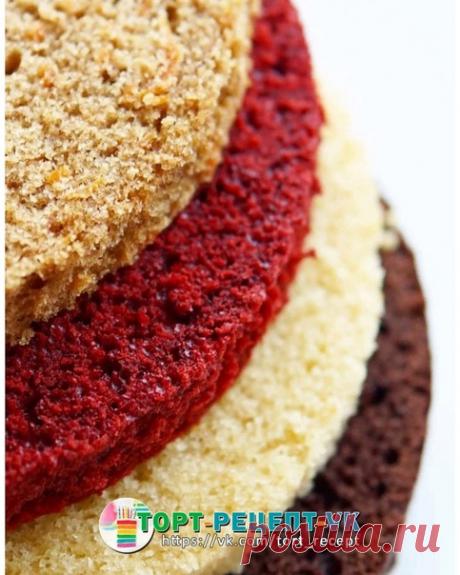 ТОП-4 РЕЦЕПТА САМЫХ ПОПУЛЯРНЫХ БИСКВИТОВ ДЛЯ ТОРТОВ! 

Морковный
Красный бархат (с шоколадным вкусом)
Ванильный шифоновый бисквит
Шоколадный
⠀
 МОРКОВНЫЙ БИСКВИТ.
⠀
- Ингредиенты на форму 16 см
175 гр. муки,
190 гр. моркови,
180 гр. сахара,
1 ч.л. корицы,
0,5 ч.л. мускатного ореха,
0,5 ч.л. имбиря,
1 ч.л. разрыхлителя,
2 яйца (кат.1),
120 мл. растительного масла,
1 апельсин (сок и цедра),
50-70 гр. грецких орехов,
1 ст.л. сливочного масла,
1/2 ч.л. соли.

- Как приготовить...