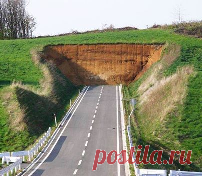 (1) Лицо бизнеса