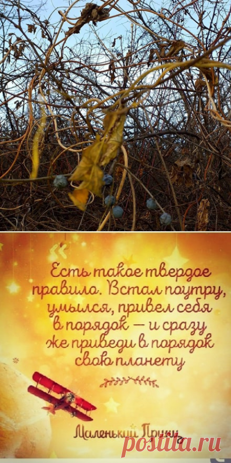 🦋Ｔａｔｉａｎａ🦋 (@tatiana_barsykova) • Фото и видео в Instagram