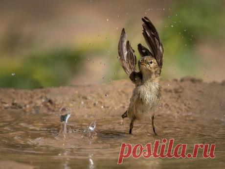 Лучшие кадры июля — Наука и жизнь