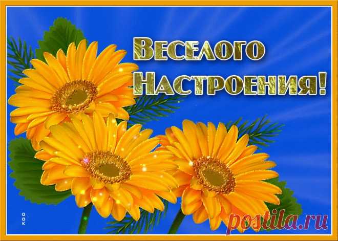 Картинки для хорошего настроения