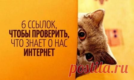 6 ссылок, чтобы проверить, что знает о нас интернет » Майдан полезных новостей