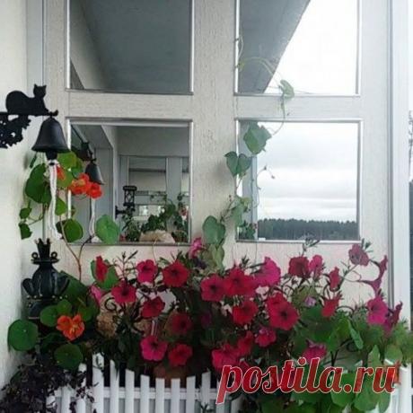 Зеркальный балкон