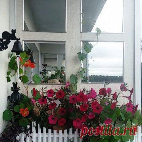 Зеркальный балкон