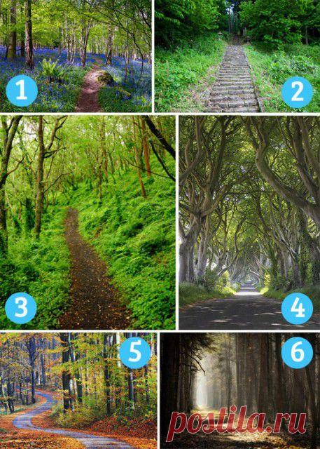 Выбери тропу, которая тебе пригляделась. Она расскажет, что тебя ждет не за горами...