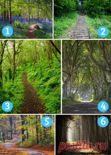 Выбери тропу, которая тебе пригляделась. Она расскажет, что тебя ждет не за горами...