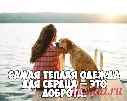 Красивые цитаты и статусы в картинках - самые прикольные и интересные