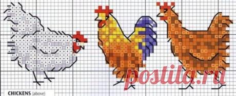 (637) Cross Stitch Chicken Pattern #hens #rooster | Borduren boederij dingen