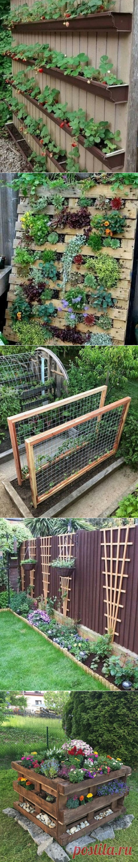 Интересные идеи для сада и огорода — Сделай сам, идеи для творчества - DIY Ideas