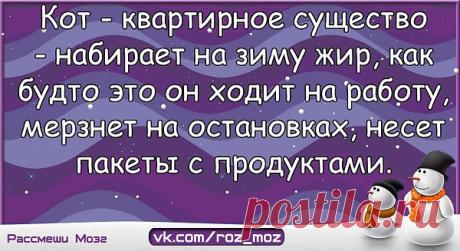 Интересные новости