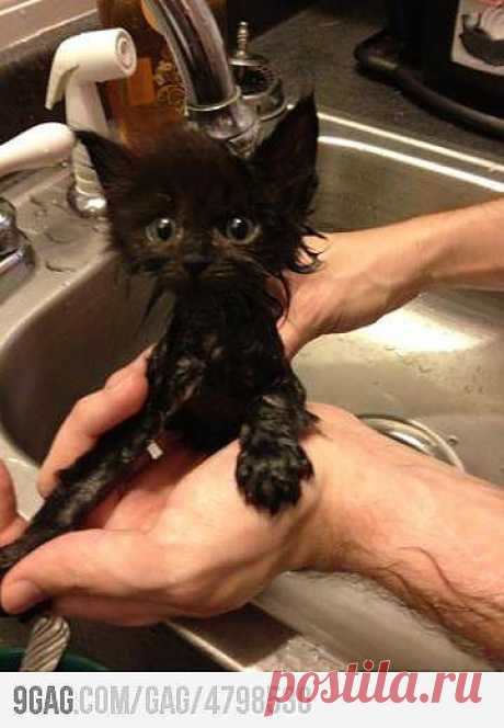 Щас краска высохнет, буду белый как сосед