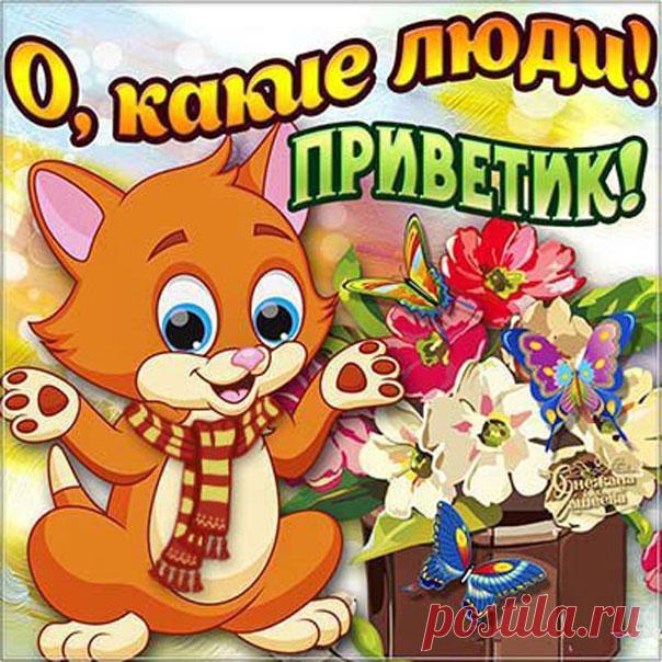 Открытки с Приветом бесплатно  Музыкальные открытки Привет