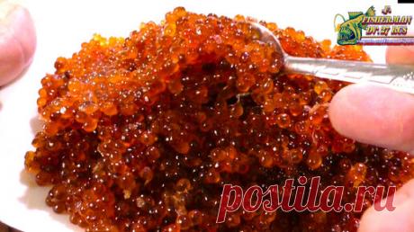 Вот так нужно солить красную икру из замароженной горбушу с магазина. | Fisherman DV.27RUS | Дзен