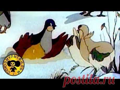 Мультики: Оранжевое горлышко