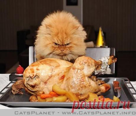 Съем всё или нет?