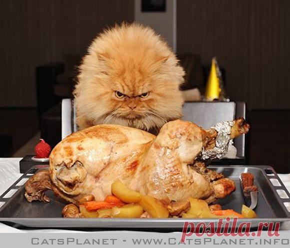 Съем всё или нет?