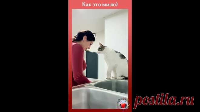 Желаю всем такой любви и обожания