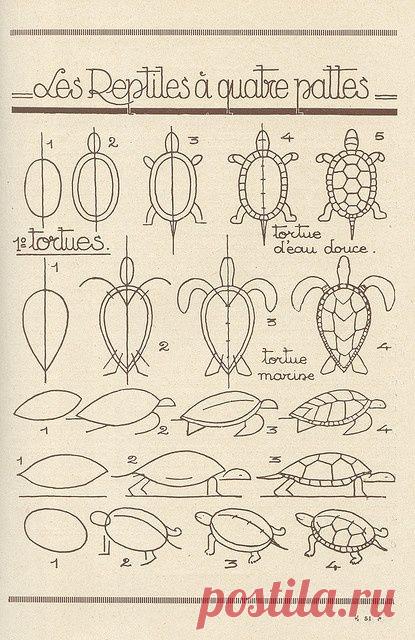 Kimberly Young приколол(а) это к доске How to draw
