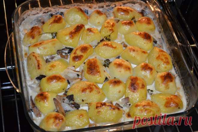Так картошку в духовке я еще не готовила (и навряд ли кто еще готовит). Получилось настолько вкусно, что все захотели добавки! | Елена/НедОсолила | Яндекс Дзен