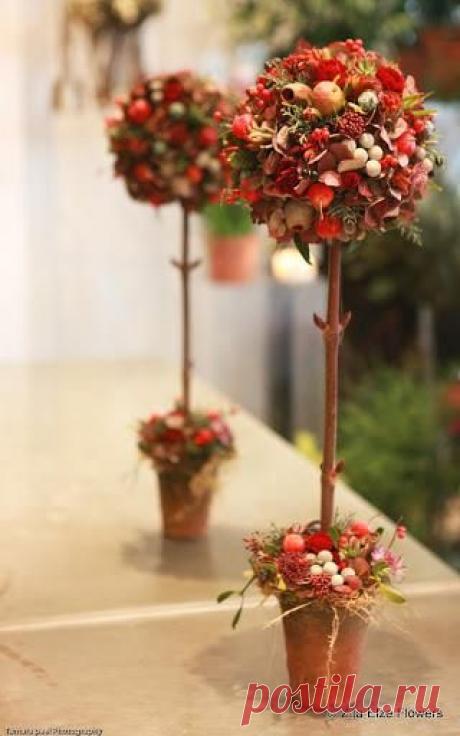 Найдено на сайте zitaelze.com.