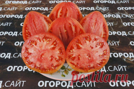 Томат Немецкий розовый Йодера, семена | ОГОРОД.сайт