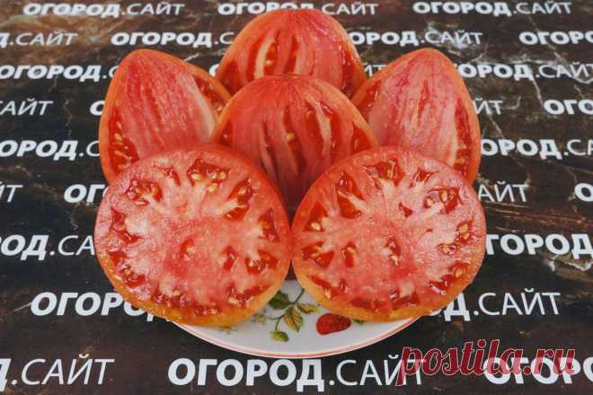 Томат Немецкий розовый Йодера, семена | ОГОРОД.сайт