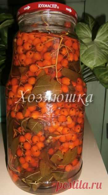 Рябина к новому году.