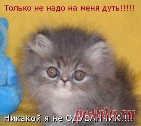 Интересные новости