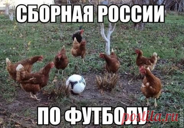 Забавные фотомемы / Приколы