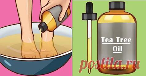 10 важных последствий использования масла чайного дерева на вас и ваше здоровье Вы будете удивлены! В каждом доме должна быть бутылка масла чайного дерева. Также известное как мелалеука, масло чайного дерева наиболее известно