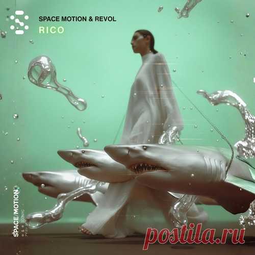 Space Motion, REVOL(ofc) - Rico (Original Mix) free download mp3 music 320kbps